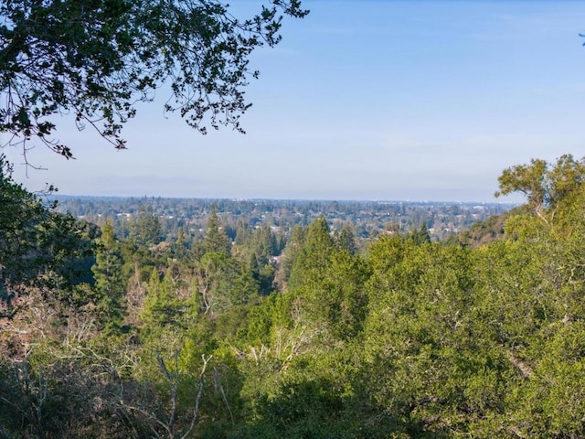 view of local wilderness