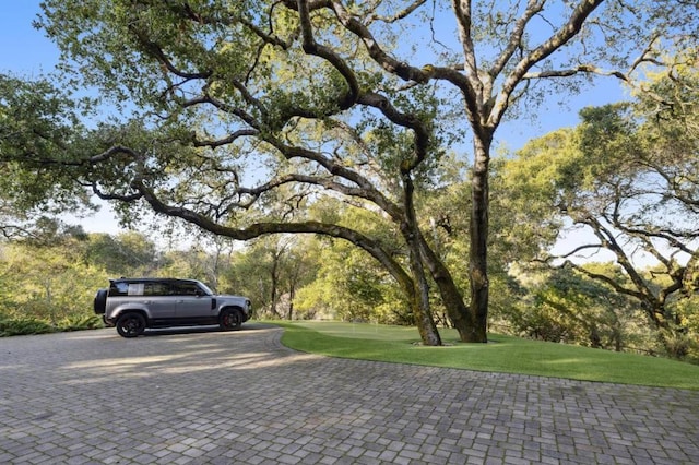 surrounding community featuring a lawn