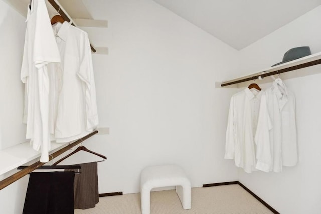 spacious closet featuring light colored carpet