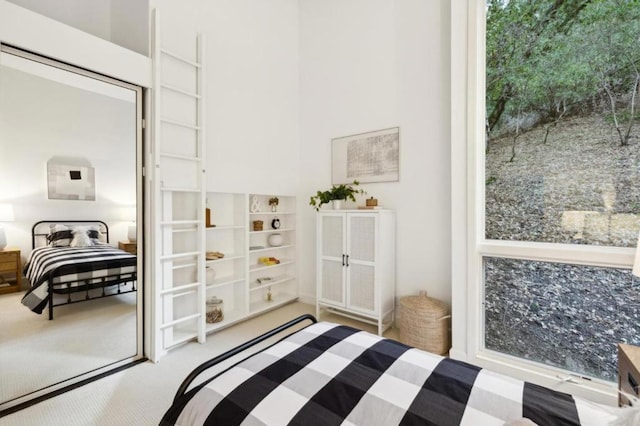 carpeted bedroom with a closet