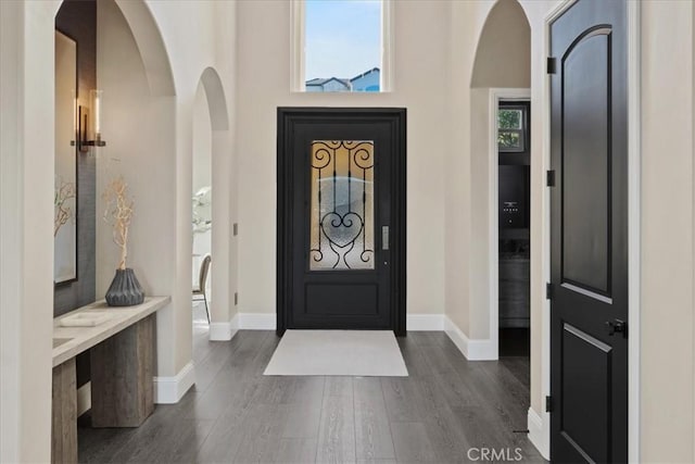 entrance foyer featuring dark wood-type flooring