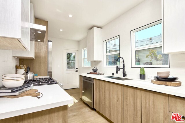 kitchen with light hardwood / wood-style floors, sink, decorative backsplash, and stainless steel appliances