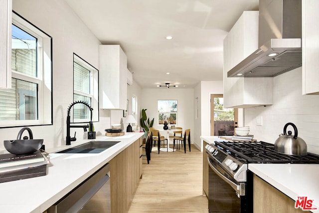 kitchen with light hardwood / wood-style floors, appliances with stainless steel finishes, tasteful backsplash, wall chimney exhaust hood, and sink