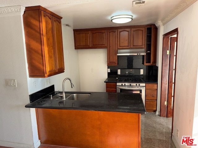 kitchen featuring sink, kitchen peninsula, stainless steel gas range, and crown molding