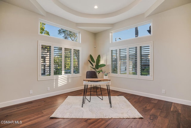 home office featuring a tray ceiling and dark hardwood / wood-style floors