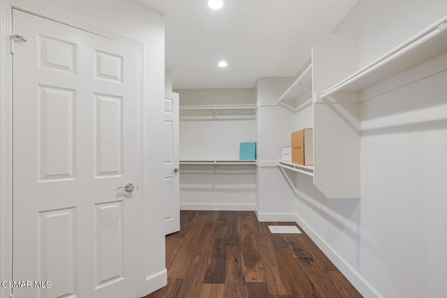 walk in closet with dark hardwood / wood-style flooring