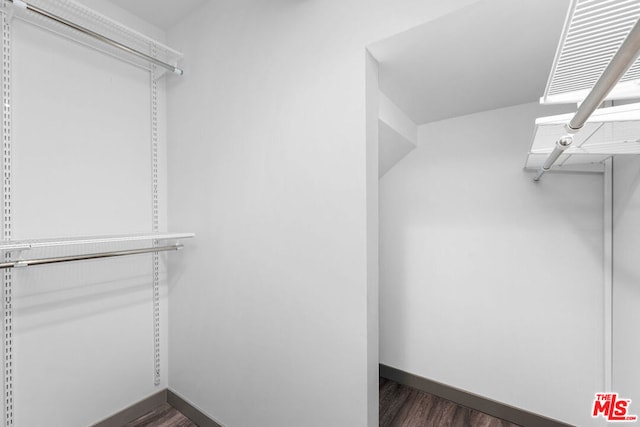 walk in closet with dark wood-type flooring