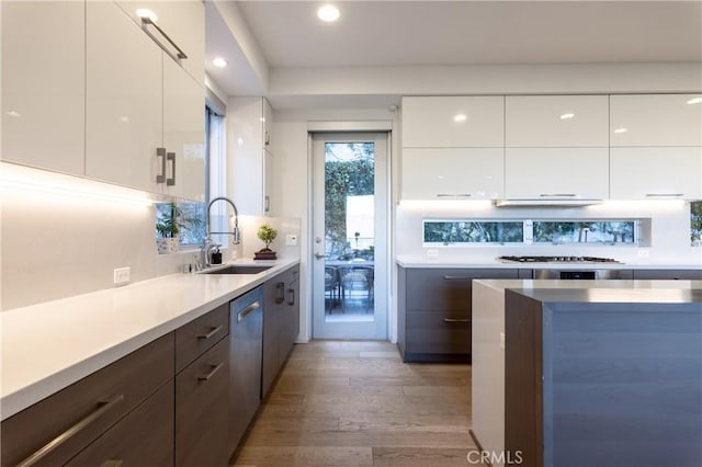 kitchen with dark brown cabinetry, white cabinets, appliances with stainless steel finishes, sink, and light wood-type flooring