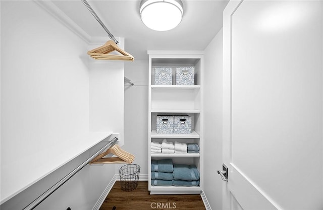 walk in closet with dark wood-type flooring