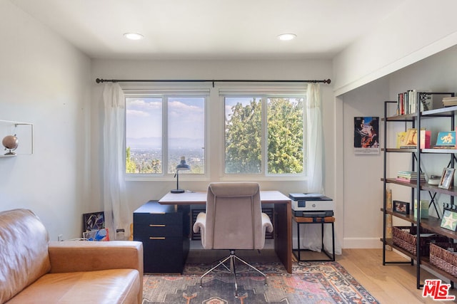 office with wood-type flooring