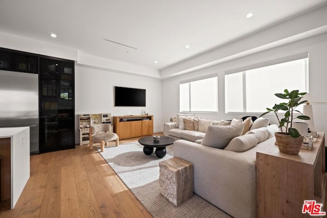 living room with light wood-type flooring