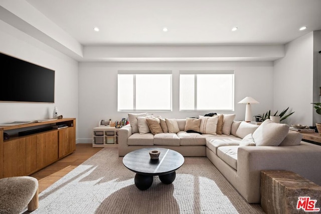 living room with light wood-type flooring