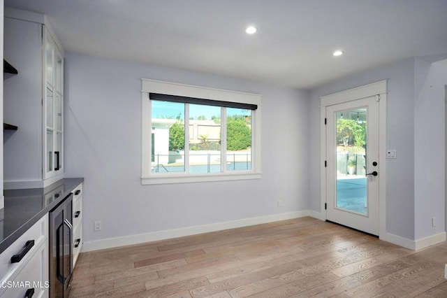 interior space featuring light wood-type flooring and plenty of natural light