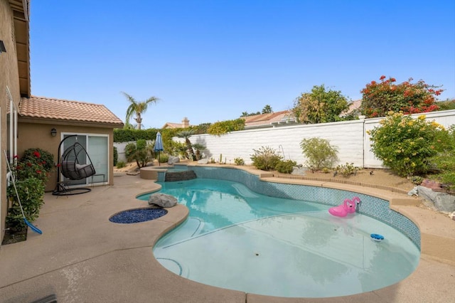 view of pool featuring a patio