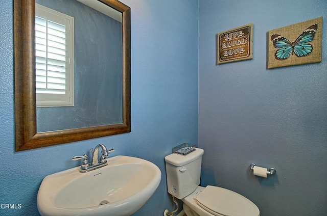 bathroom featuring toilet and sink