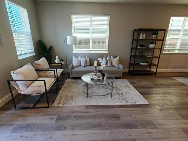 living room with hardwood / wood-style floors and a wealth of natural light