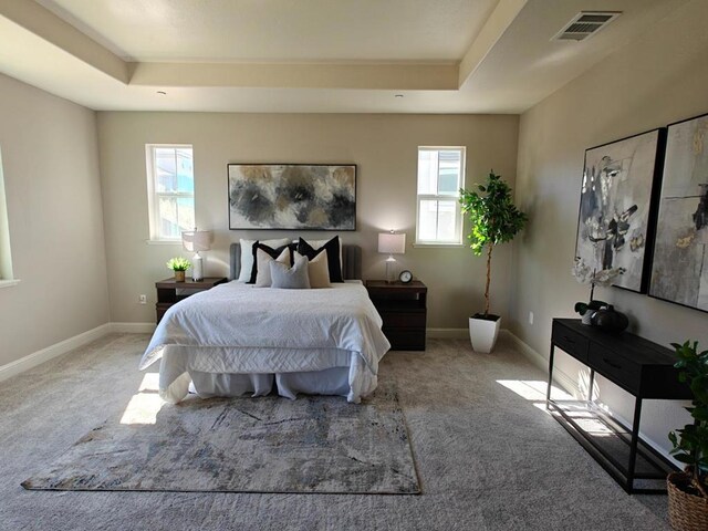 carpeted bedroom featuring a tray ceiling