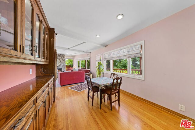 dining area featuring light hardwood / wood-style floors