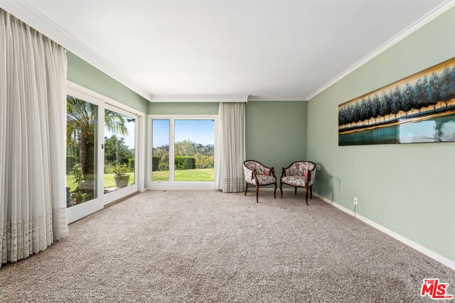 unfurnished room featuring crown molding and carpet floors