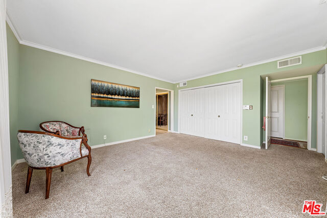 unfurnished room featuring ornamental molding and carpet flooring