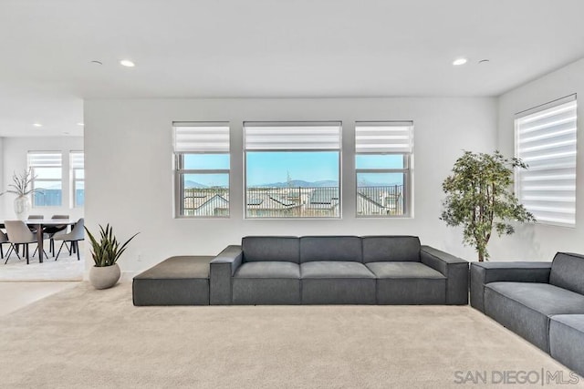 living room with carpet floors and plenty of natural light