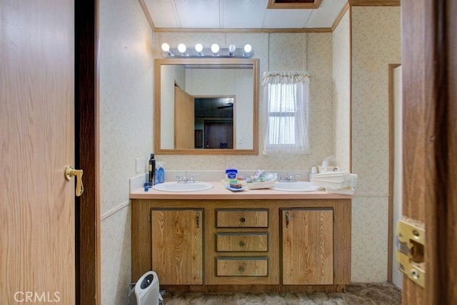 bathroom with vanity