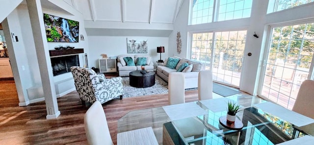 living room featuring high vaulted ceiling and hardwood / wood-style flooring