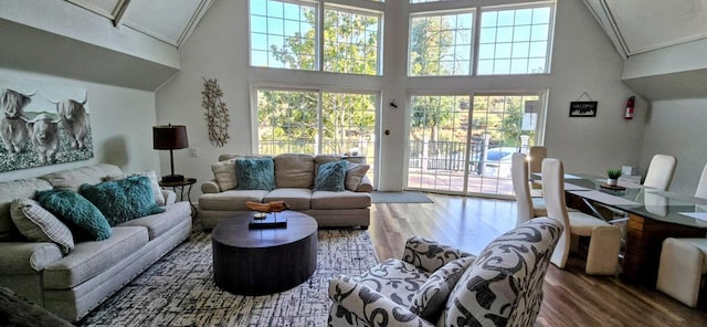 living room featuring high vaulted ceiling and wood-type flooring