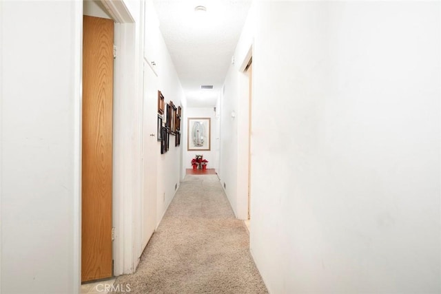 hallway with light carpet