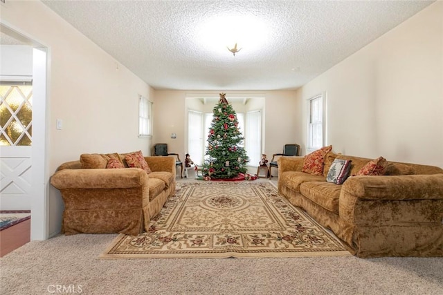 living room featuring carpet floors and a textured ceiling