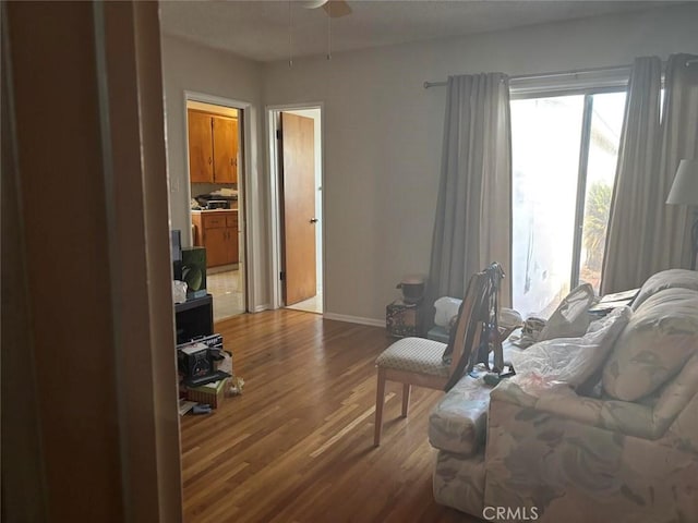 living room featuring ceiling fan and hardwood / wood-style flooring