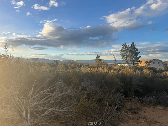 0 Woodview, Anza CA, 92539 land for sale