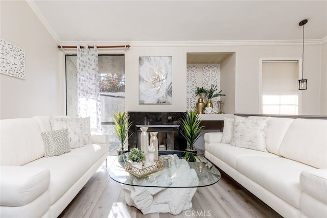 living room featuring wood-type flooring and crown molding