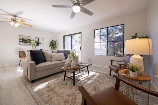 living room with ceiling fan and light wood-type flooring