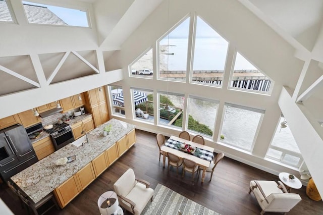 living room featuring dark wood-type flooring and a high ceiling