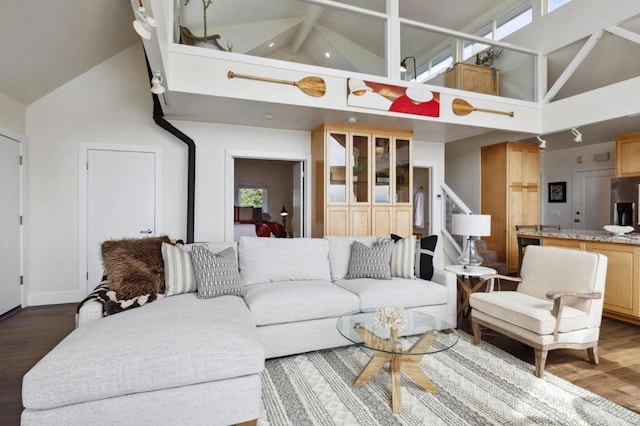 living room featuring high vaulted ceiling and dark hardwood / wood-style floors