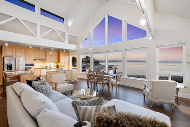 living room with a high ceiling, a wealth of natural light, and dark hardwood / wood-style floors