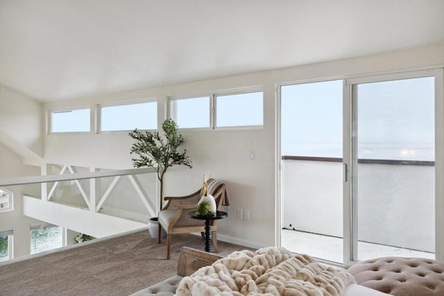 bedroom with multiple windows and carpet flooring