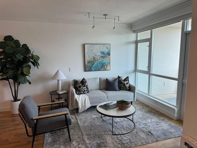 living room featuring wood-type flooring, plenty of natural light, ornamental molding, and rail lighting