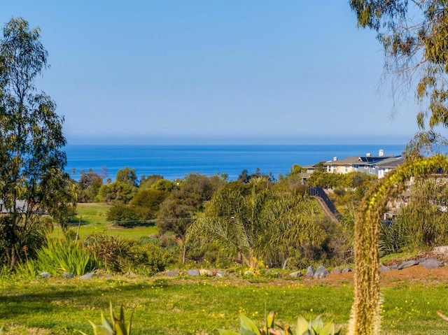 623 Quail Gardens Ln, Encinitas, CA 92024 - view of water feature