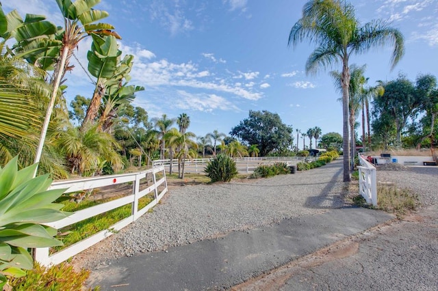 623 Quail Gardens Ln, Encinitas, CA 92024 - view of road
