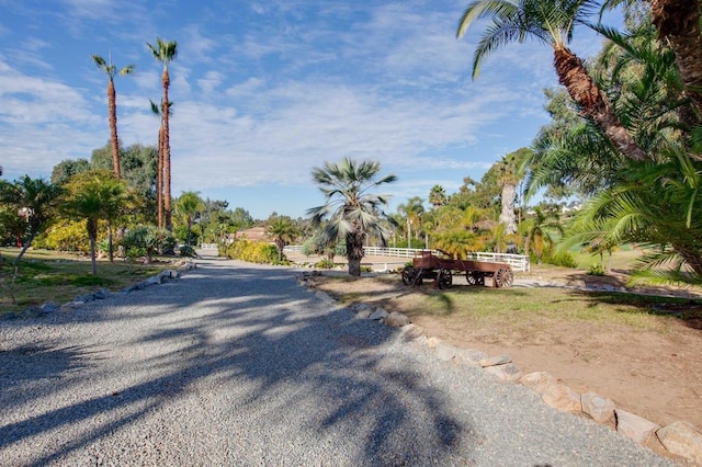 623 Quail Gardens Ln, Encinitas, CA 92024 - view of road