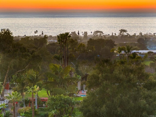 623 Quail Gardens Ln, Encinitas, CA 92024 - view of water feature