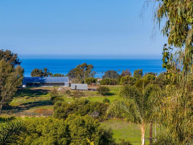 623 Quail Gardens Ln, Encinitas, CA 92024 - view of water feature