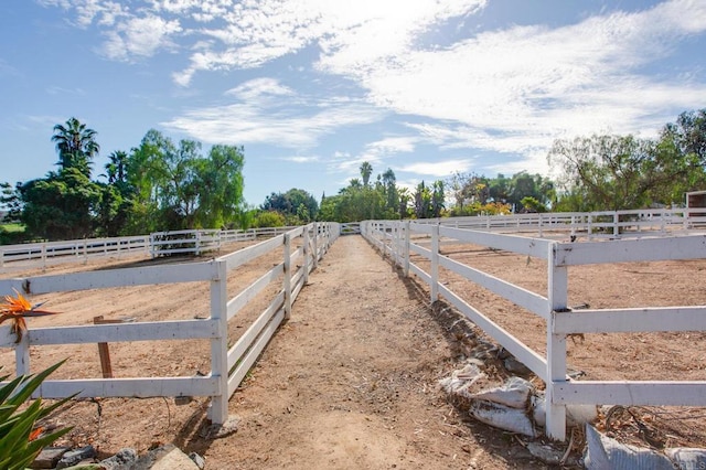 623 Quail Gardens Ln, Encinitas, CA 92024 - view of yard