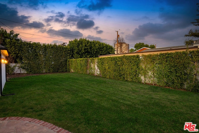 view of yard at dusk