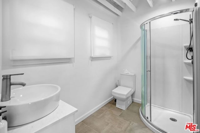 bathroom featuring walk in shower, sink, and toilet