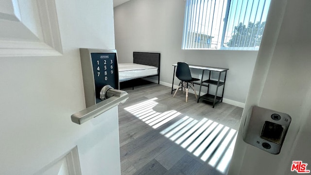 interior space with wood-type flooring