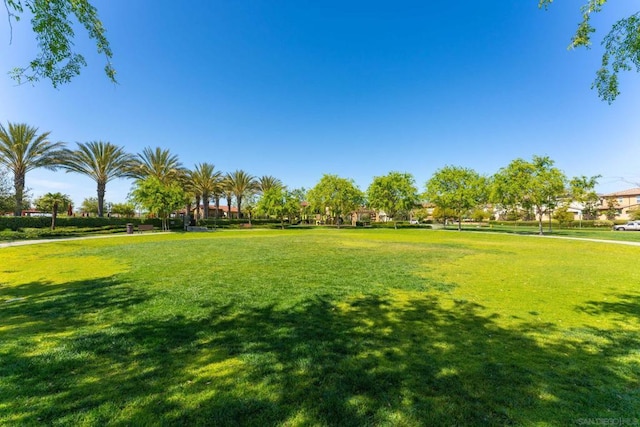 view of home's community with a yard