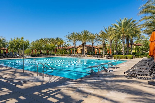 view of swimming pool featuring a patio area